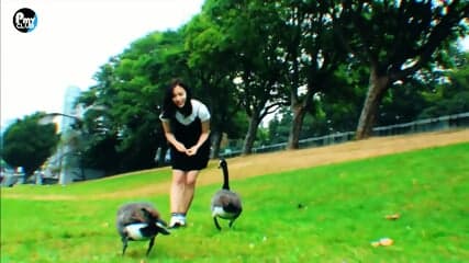 Twice - Likey KPOP DF PMV IEDIT sound