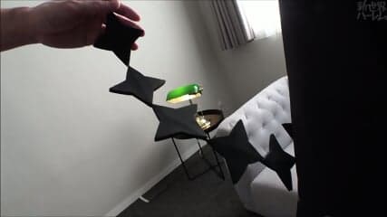 laplus cosplay sex holo vtuber