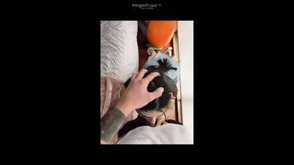 Catsara Rides Her Boyfriend's Cock POV